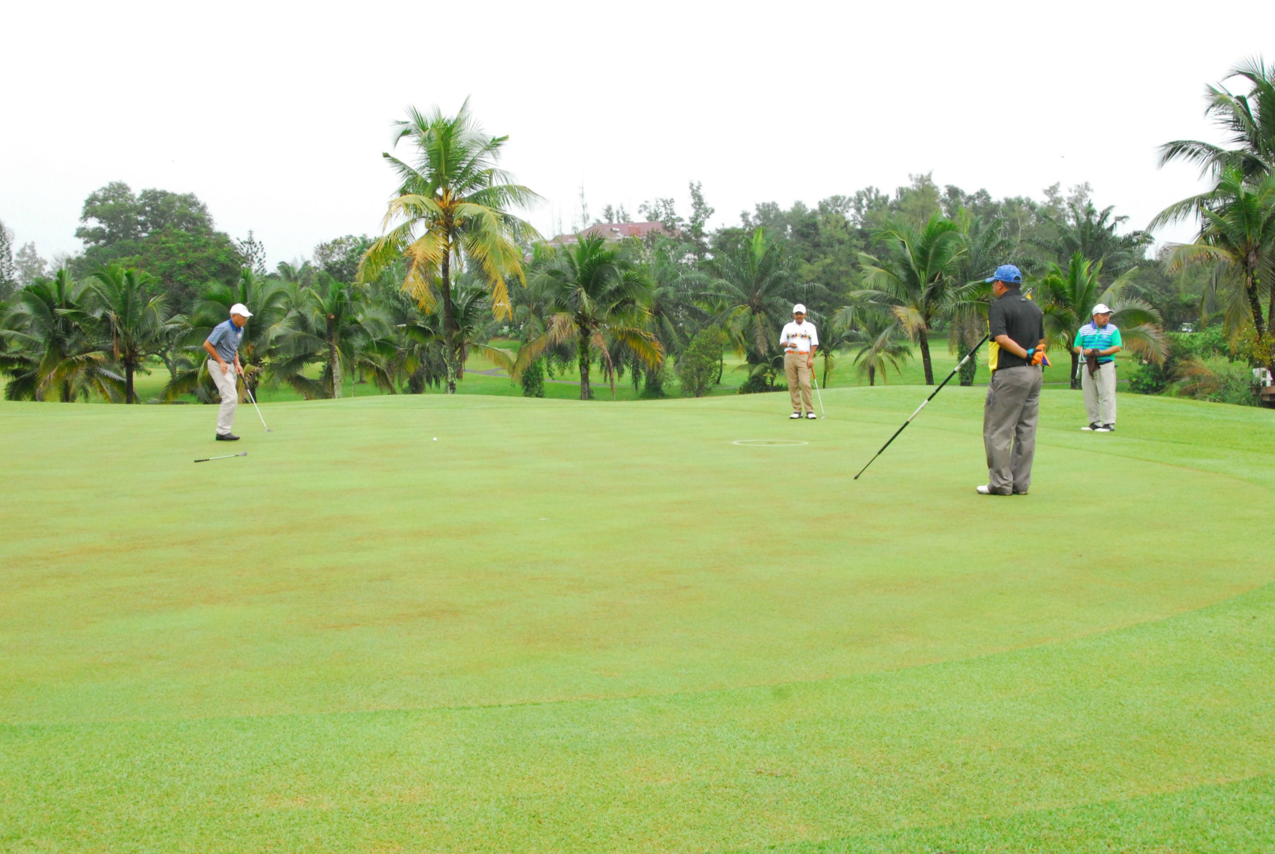 PRO15 157 GOLF DSC 0139.JPG